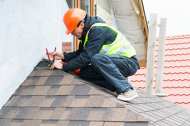 Best Storm Damage Roof Repair  in Woodstown, NJ